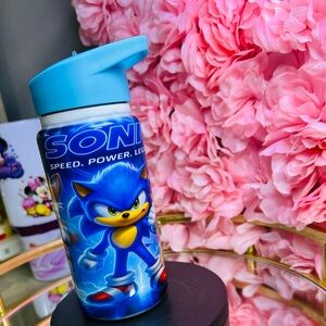 the Hedgehog Water Bottle